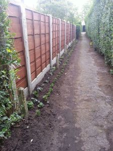 942159_509813825733533_1606587217_n